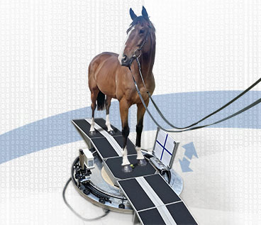 Maisees Horse scanner