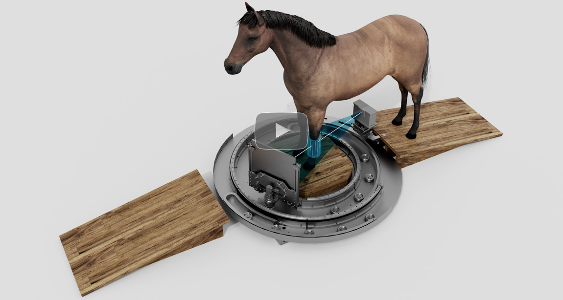 Anterior equine tomosynthesys scan